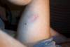 Photo Number 4