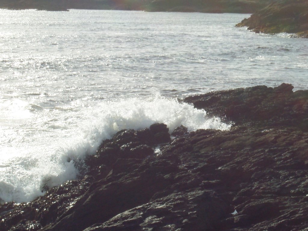 Photograph