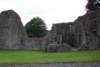 Photo Number 5