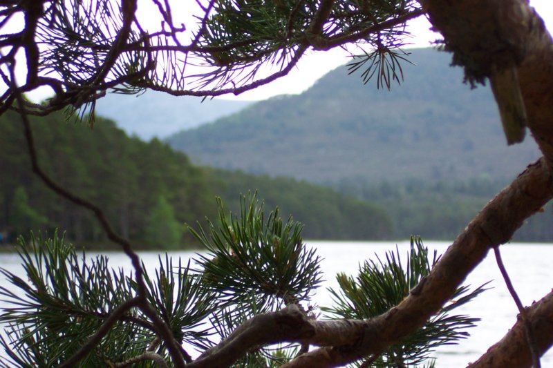 lochaneilein007.jpg