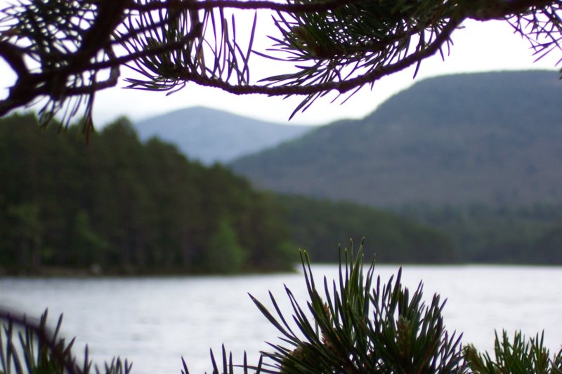 lochaneilein010.jpg