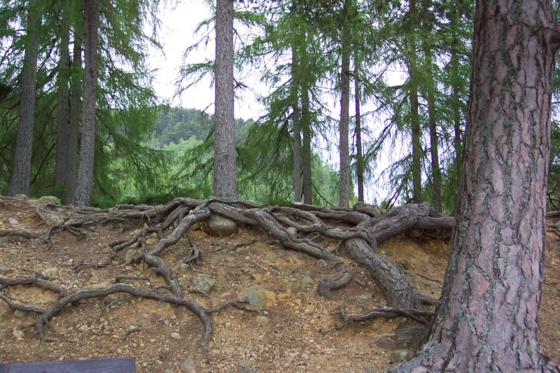 lochaneilein013.jpg