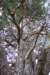 lochaneilein015_small.jpg