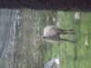 Photo Number 3