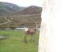 Photo Number 6