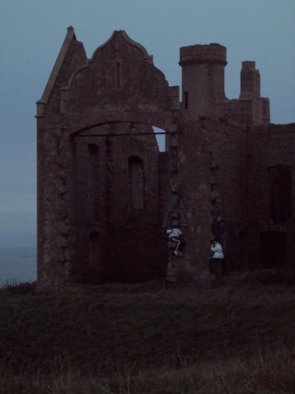 Photograph