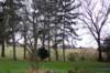 anotherviewfromthestonehouse_small.jpg