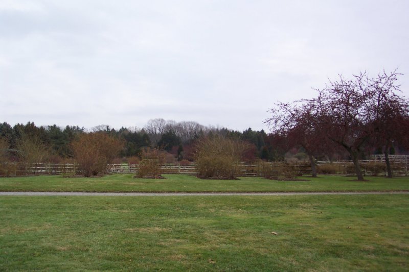 thegardenofthestonehouse.jpg